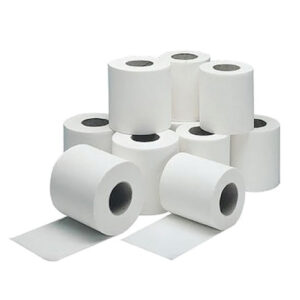 TOILET ROLL PLAIN 2PLY ECOLINE