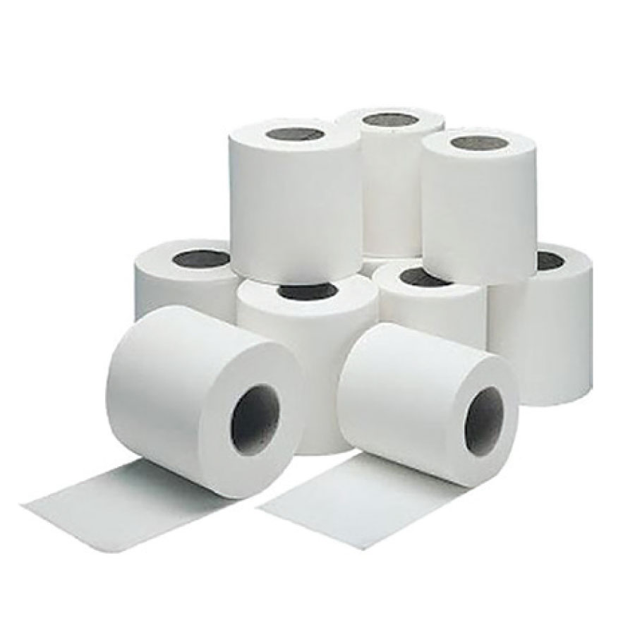 TOILET ROLL PLAIN 2PLY ECOLINE