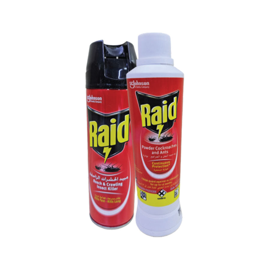 RAID